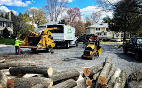 Seasonal Cleanup (Spring/Fall) in Dublin, TX